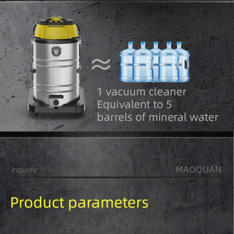 electric vacuum cleaner